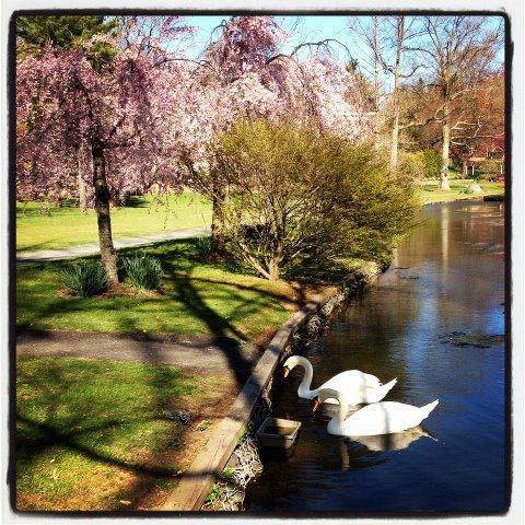 d150d16ba36146843df0_Liberty_Park_PG.jpg