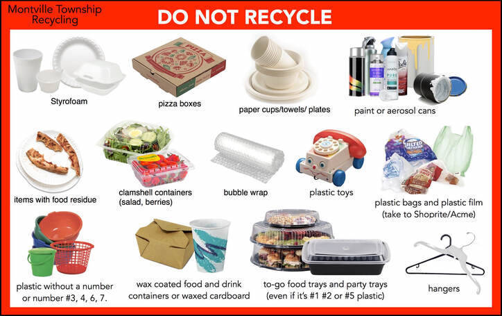 Recycle Bottles, Cans & Plastic | TAPinto