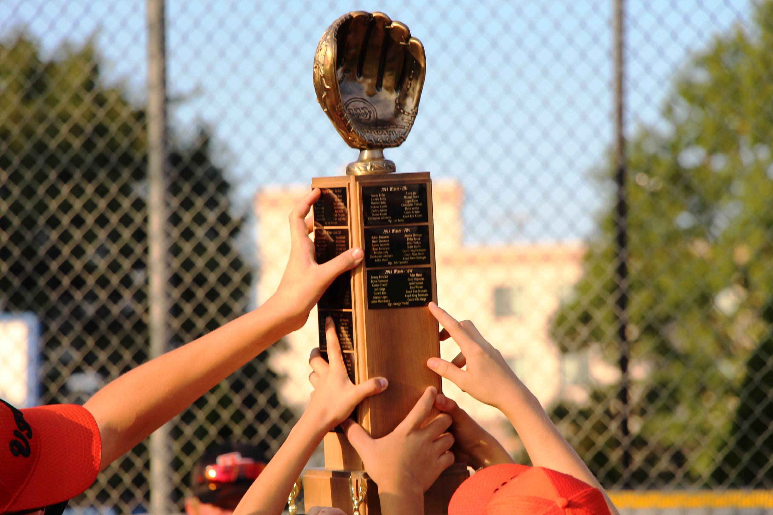 d25c3e3d01bdf4c55697_EDIT_trophy.jpg
