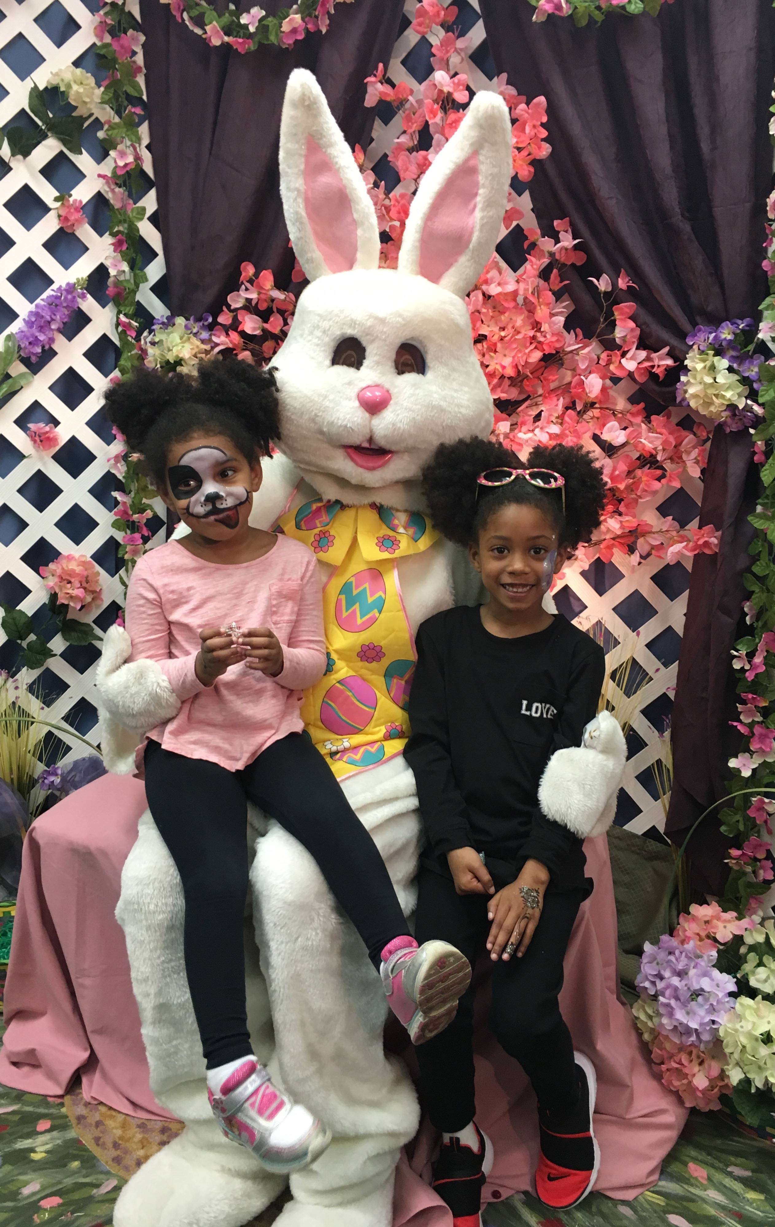 d25e77a3491e1e34a915_696d2fde02ef059b739c_2017_center_spring_4.jpg