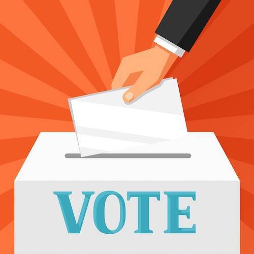 d31516327828fc786736_GoVoteSmall.jpg
