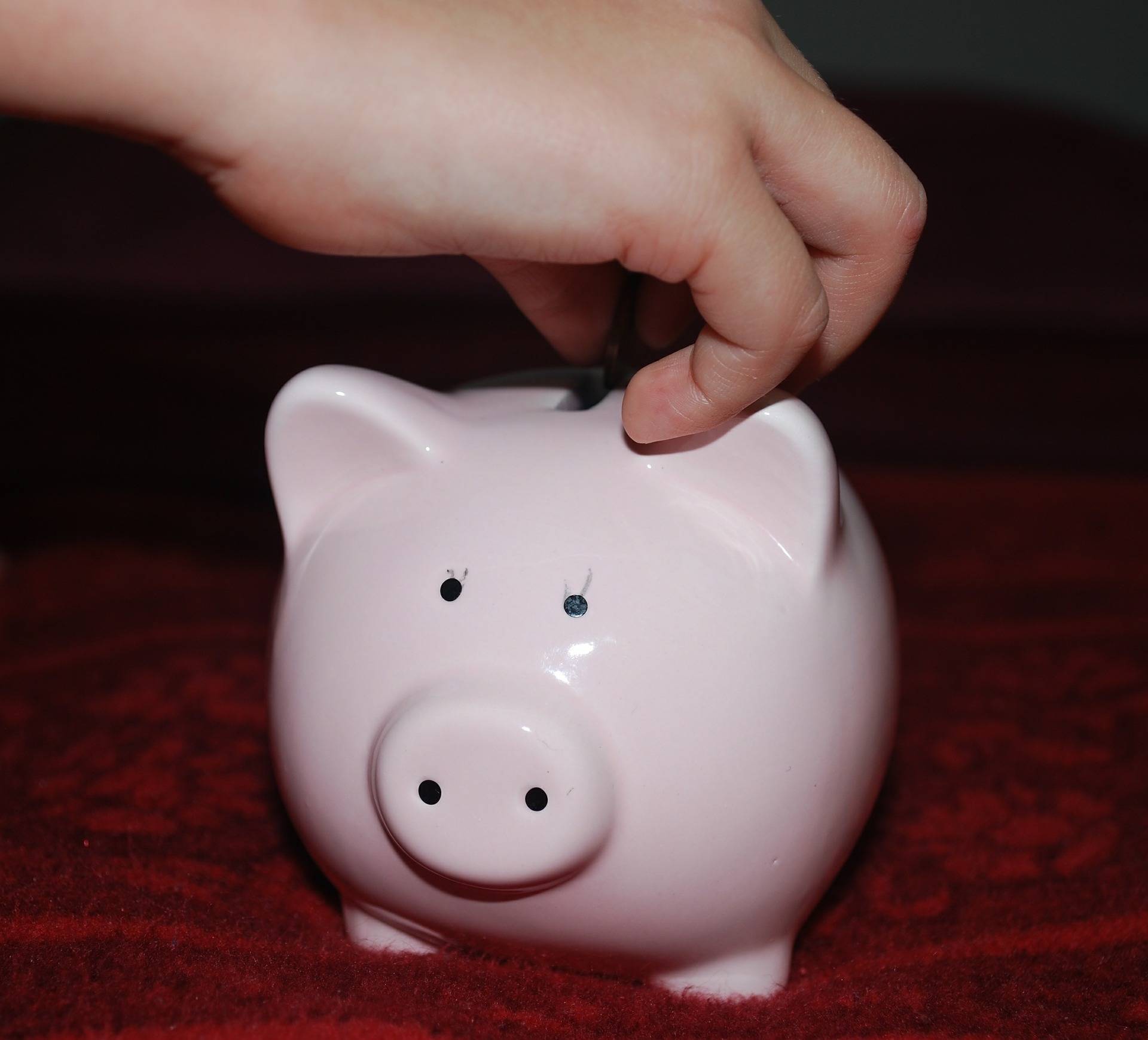 d52cf7deb5aaa401d803_piggy-bank-child_s_hand477979_1920.jpg