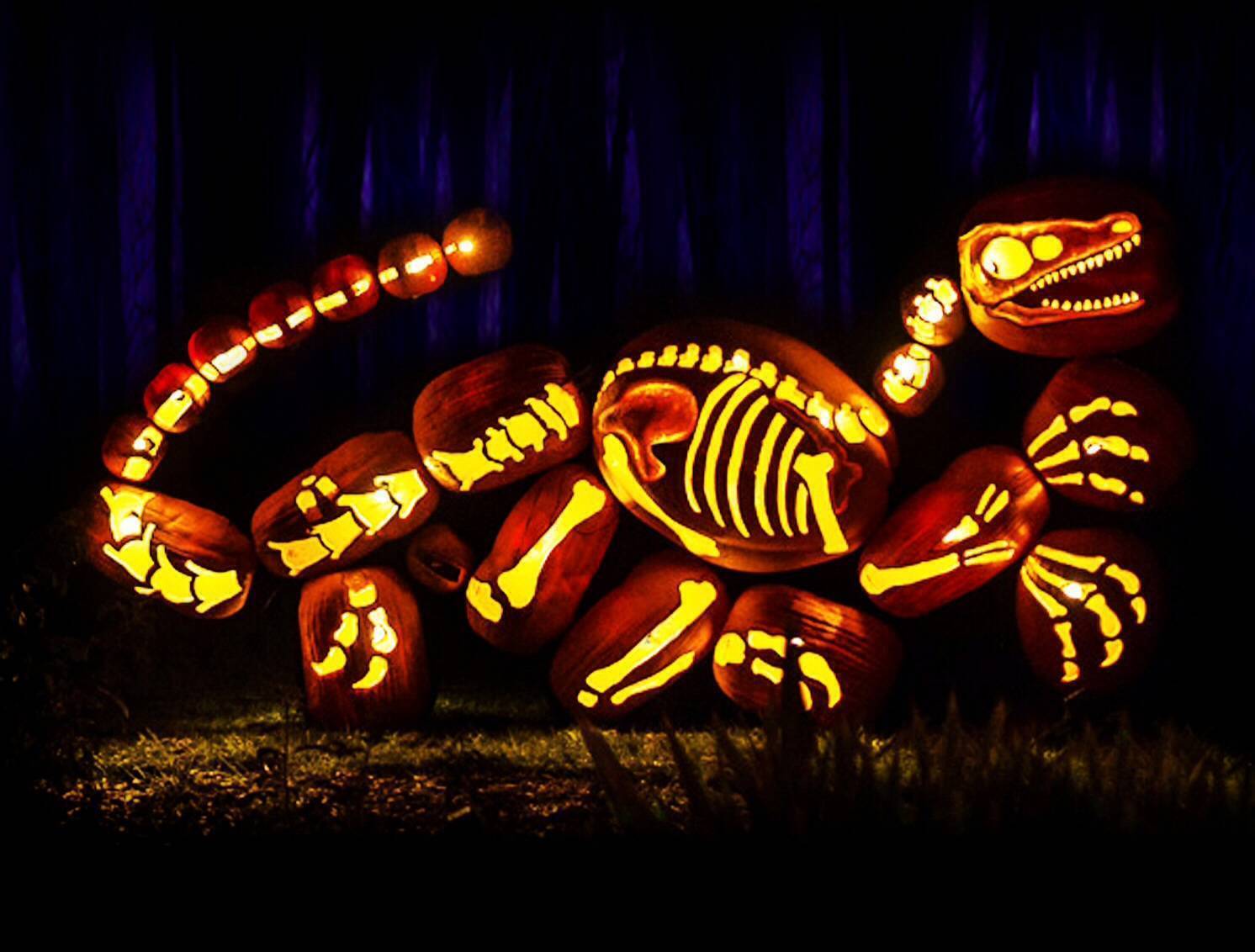 RISE of the Jack O’Lanterns Comes to The Meadowlands TAPinto
