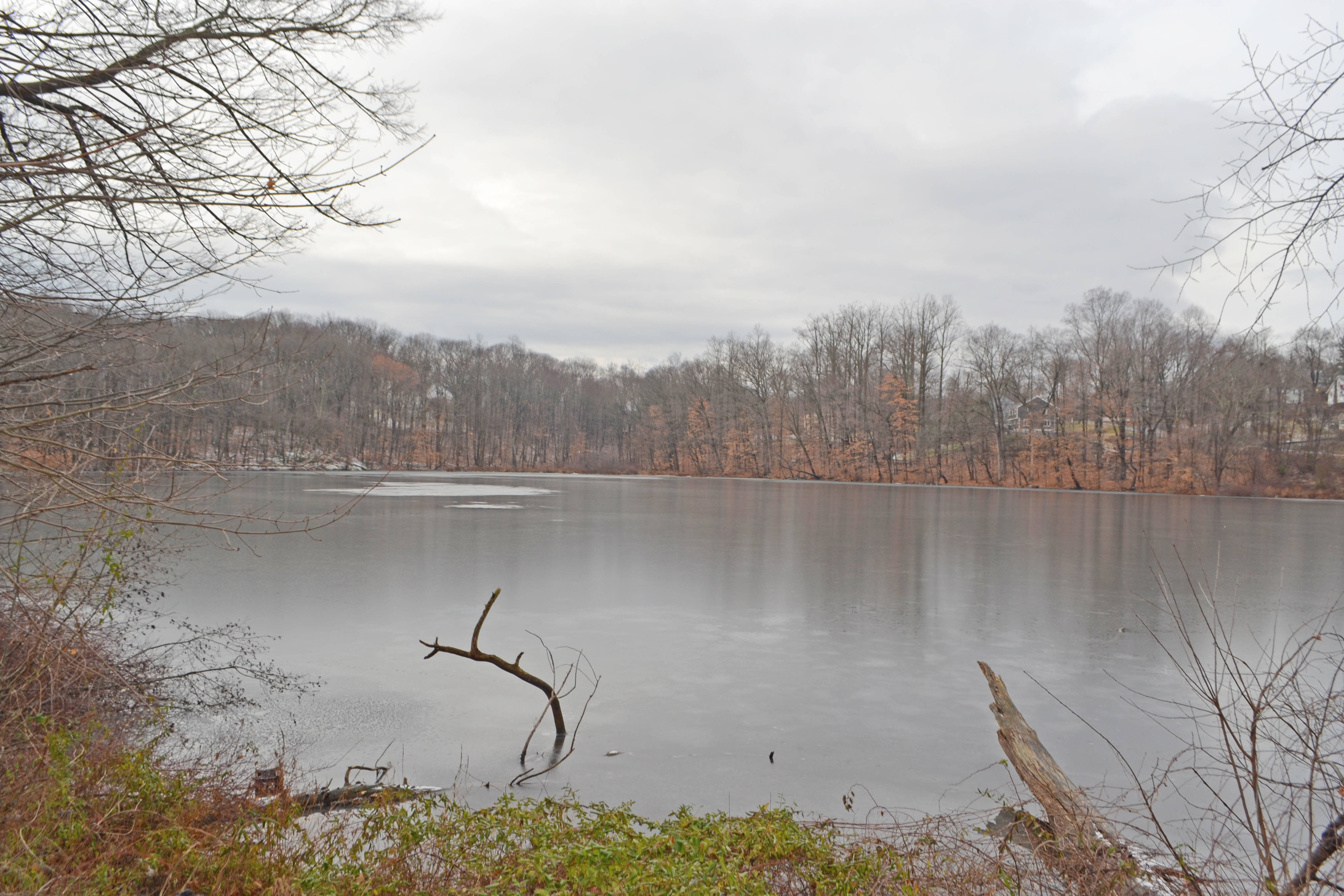 Somers Awarded 847K to Improve Lake Shenorock Somers NY News TAPinto