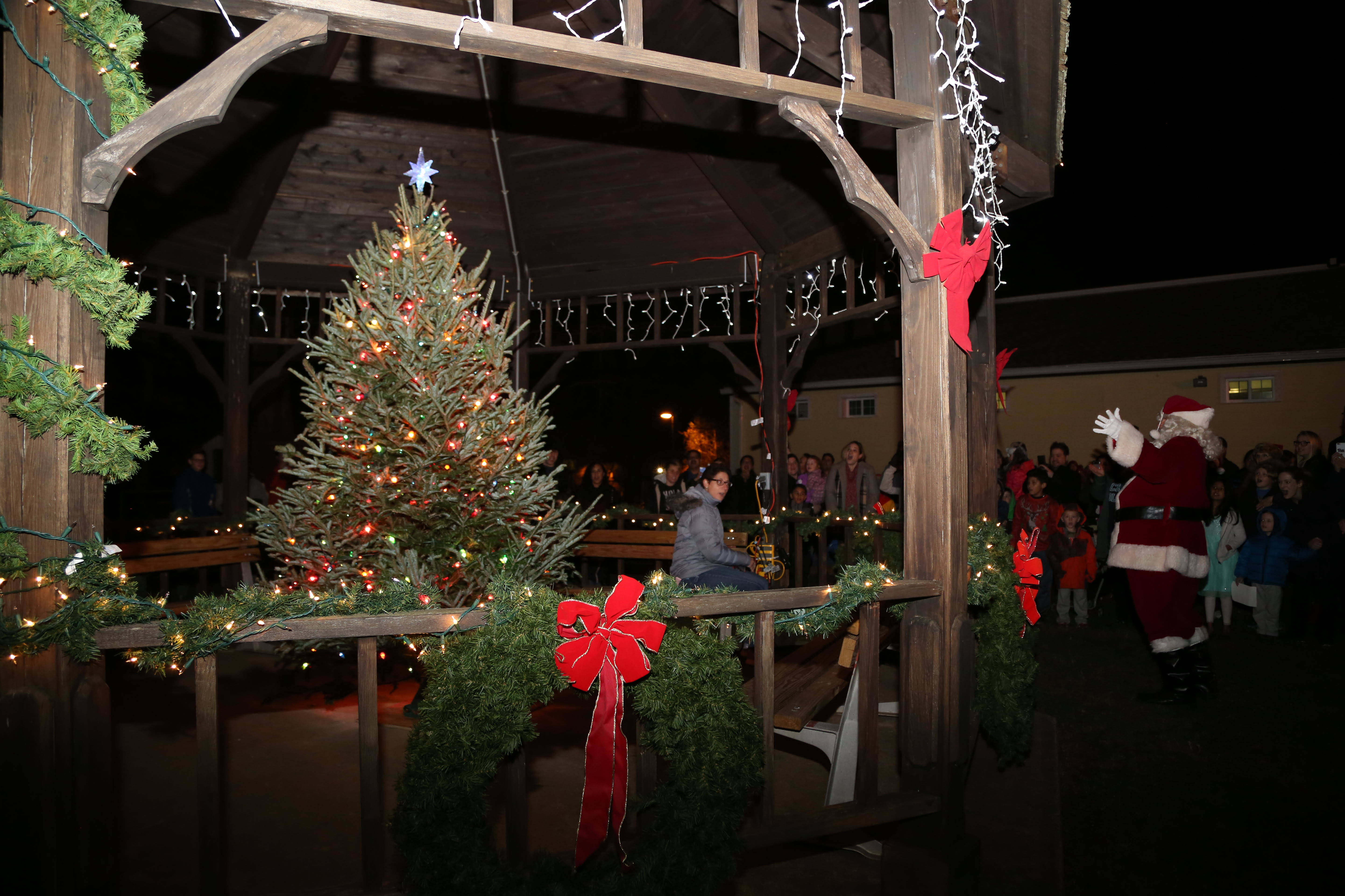 d671d9f65bf5b7faaa06_tree.jpg