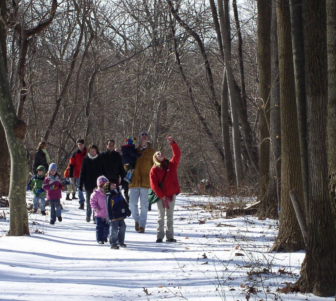 d6ac8c613d9634d55f05_February_Festivites__Winter_Walks_.jpg