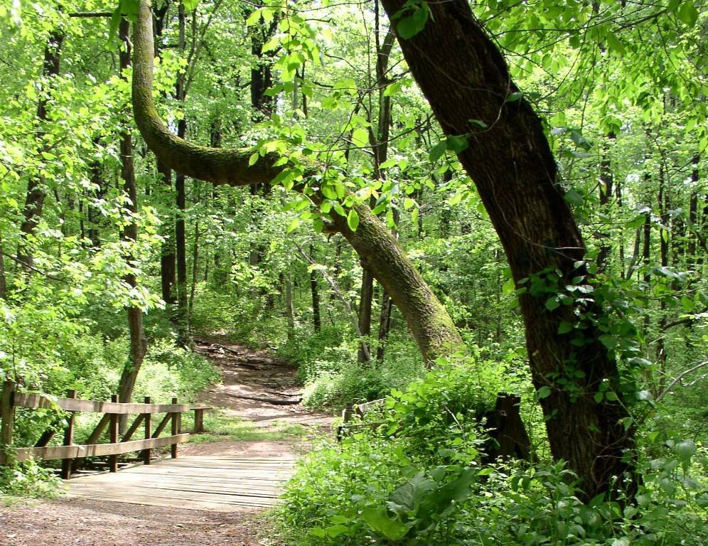d7c844d56595495b7bdc_Watchung_Reservation.jpg