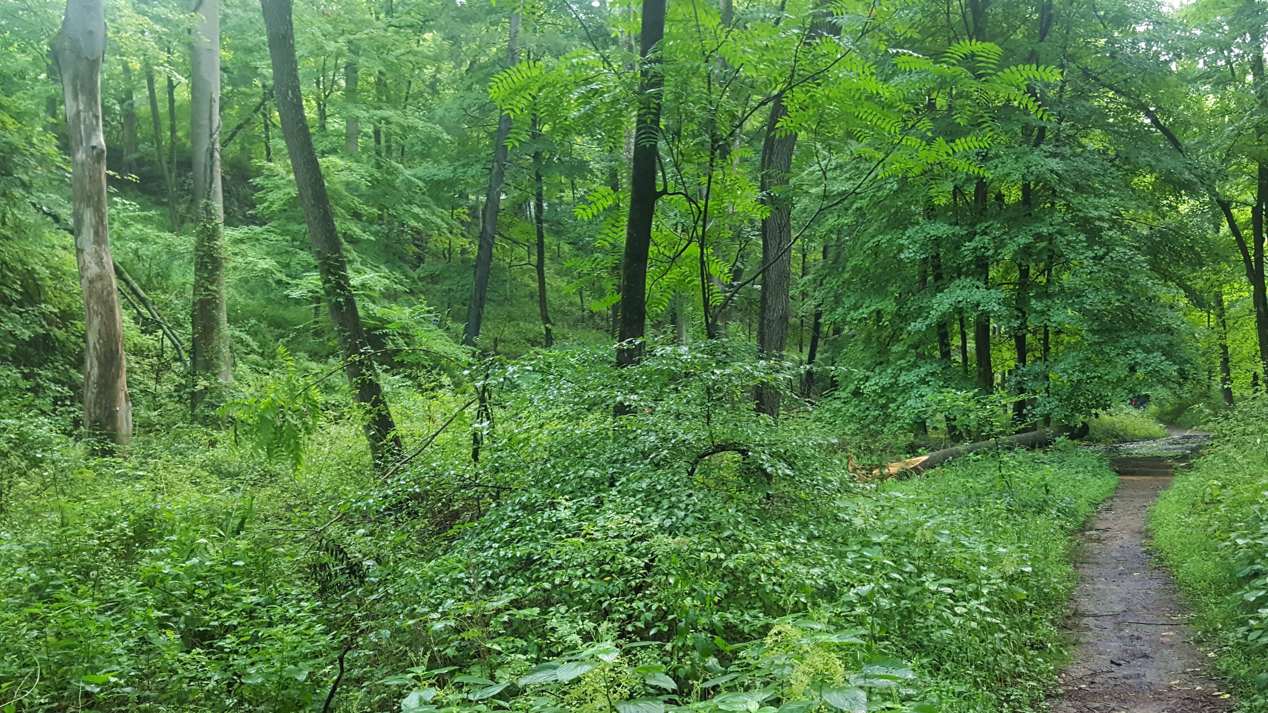 d7d1c6b002641f2f2945_before.jpg