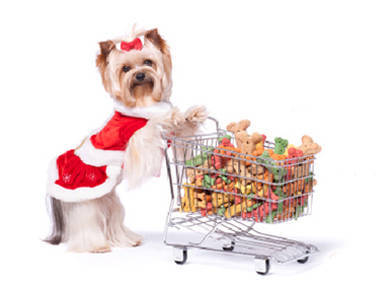 d81199c9e422cfa6b670_holiday-shopping-cr.jpg