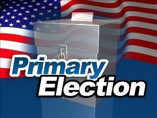 d89e38bc72d1344b976c_9b9e85b0df78da1b961d_primaryelection1.jpg