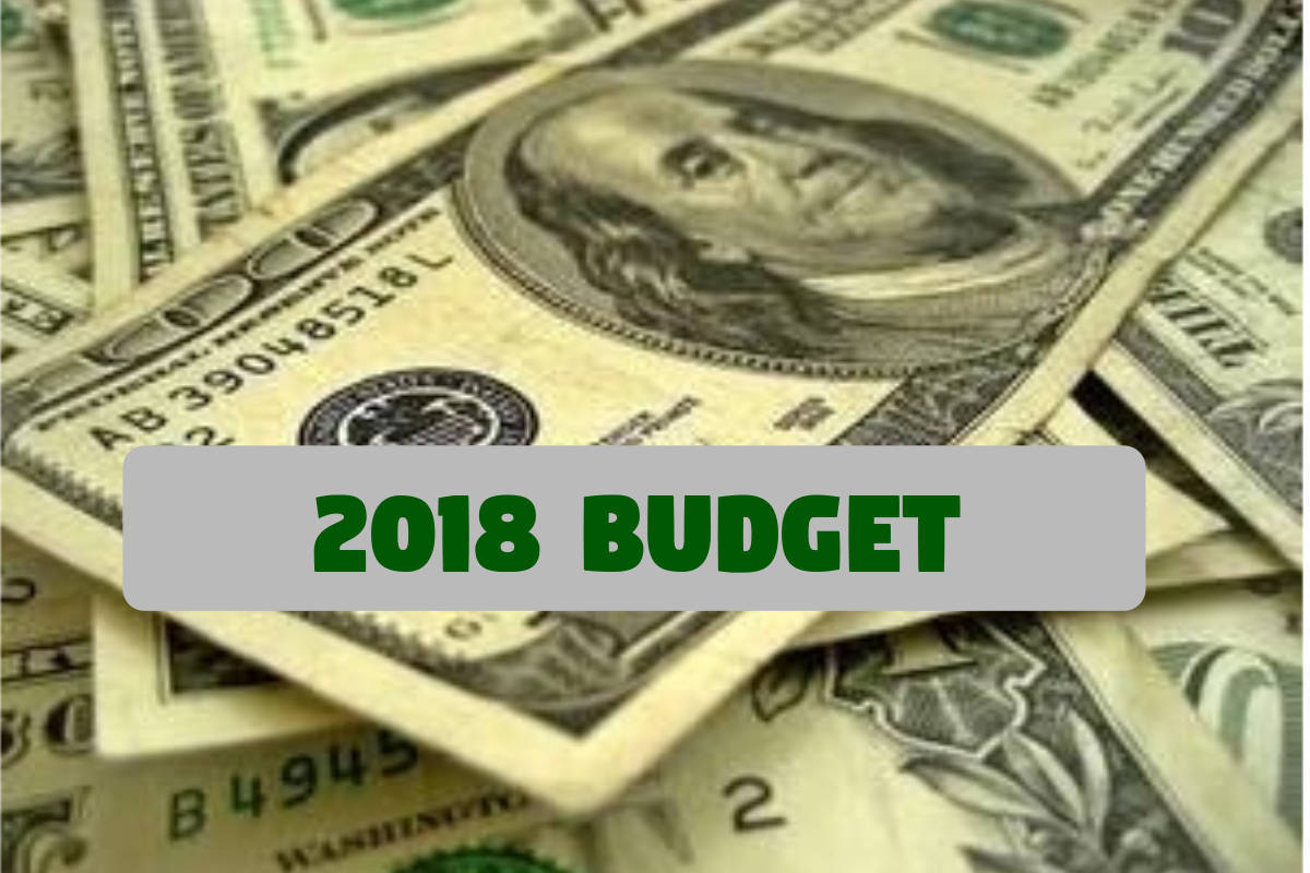 d8e9413319e8067f9c39_2018budget.jpg