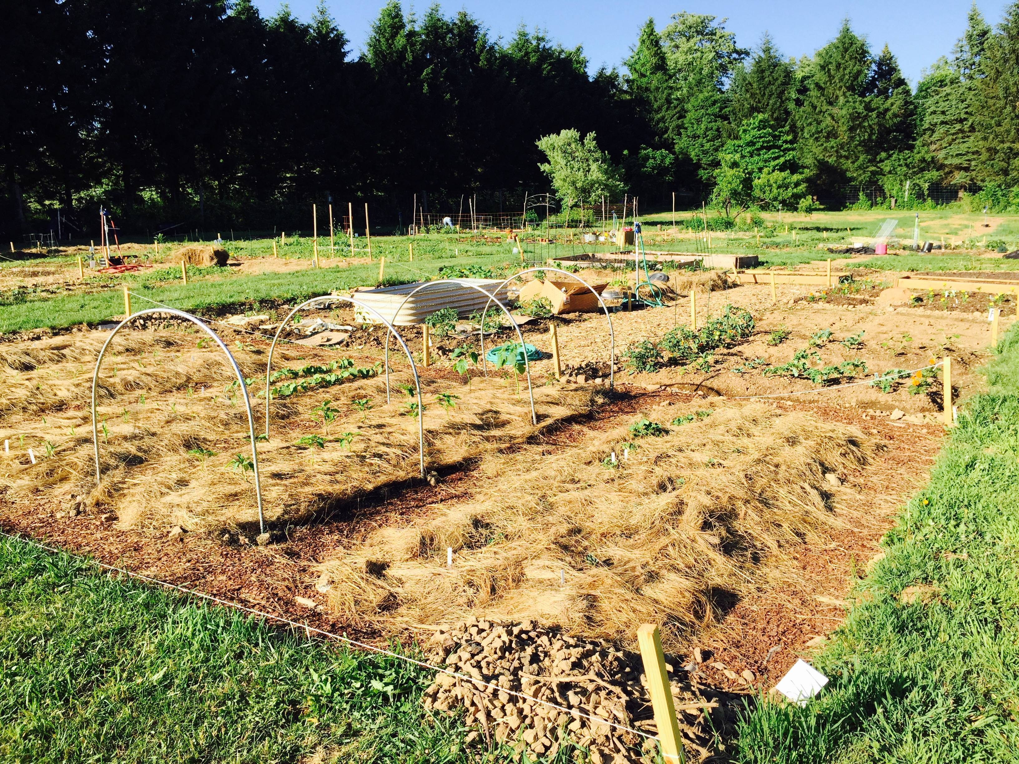 d941a3a7fa1bd8aa3946_2893d48b4e6b0002d968_Garden_Photo__6.jpg