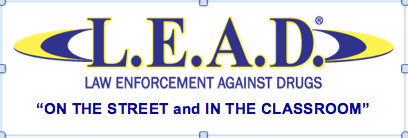 da4970afec6431c97d78_LEAD_LOGO.jpg