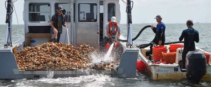 dafd9b6f3e6ed6001355_Oyster_boat_resized__stockton.jpg