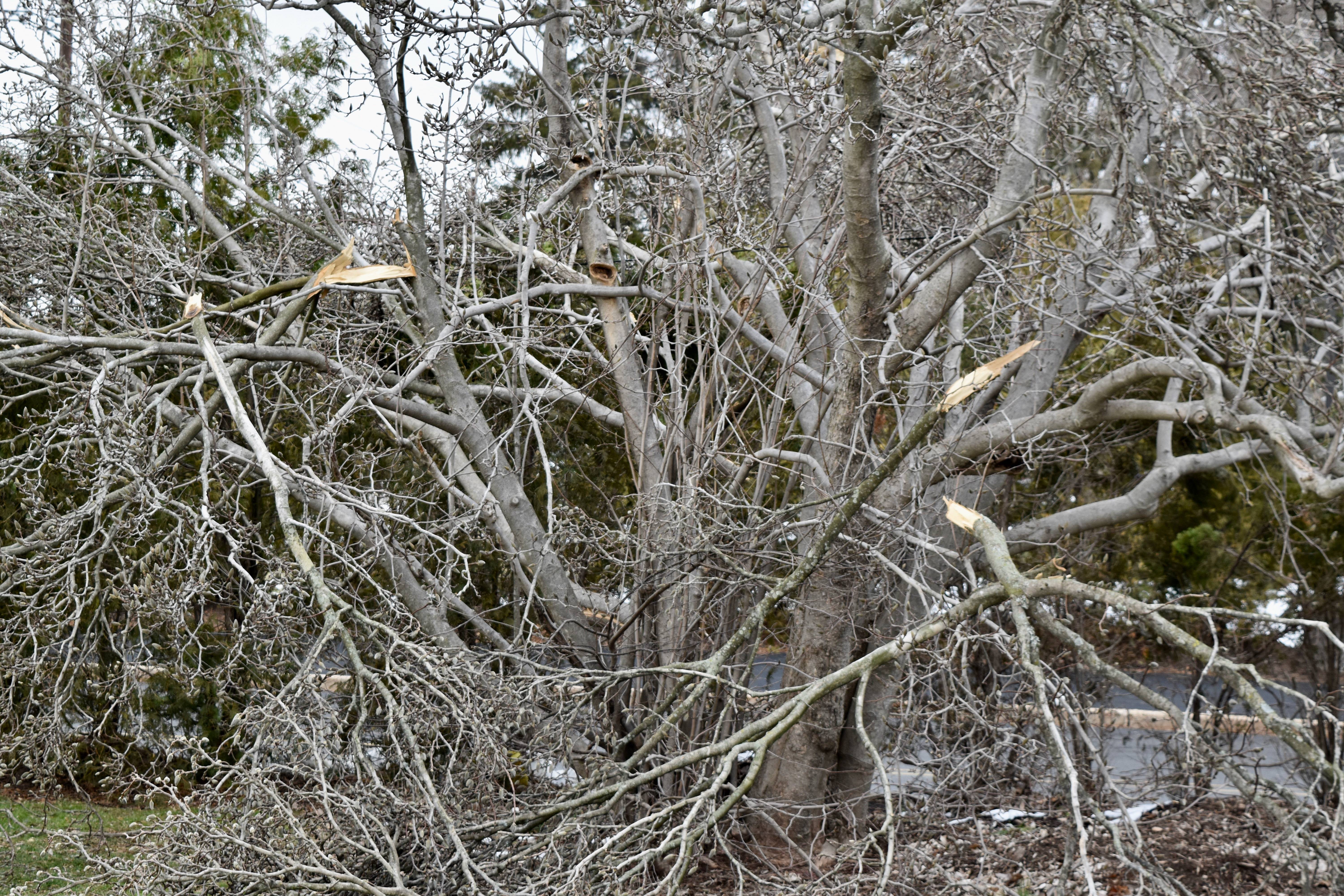 dbe6538739ad95d75da6_DSC_0953.jpg