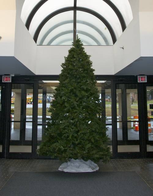 dc9f73ca80dace160ece_christmas_tree.jpg