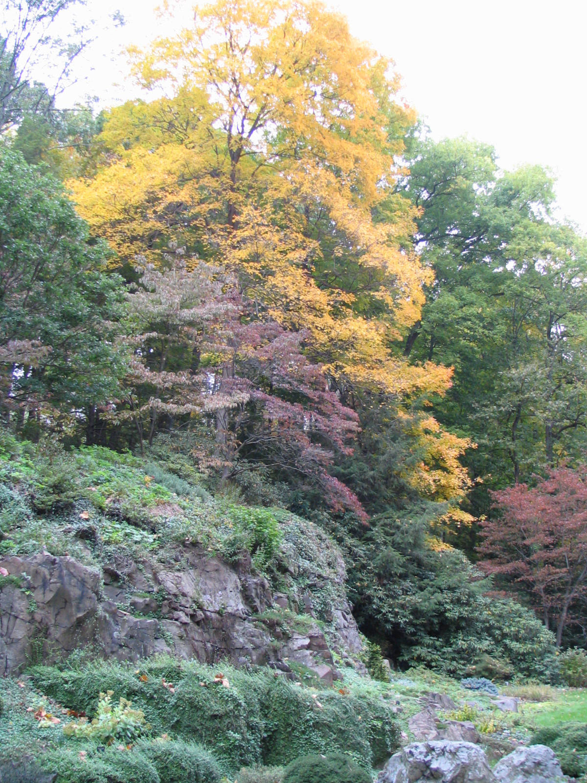 dd4c7be2e9973a34a845_BuckGardenFall05033.jpg