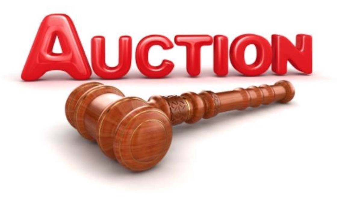 de23178c8df2d28138a6_b9b9b4d9c19f06b4a441_auction.jpg