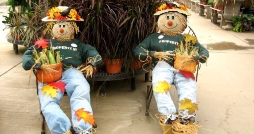 de241756b8d240f3961a_scarecrow_website_pic.jpg