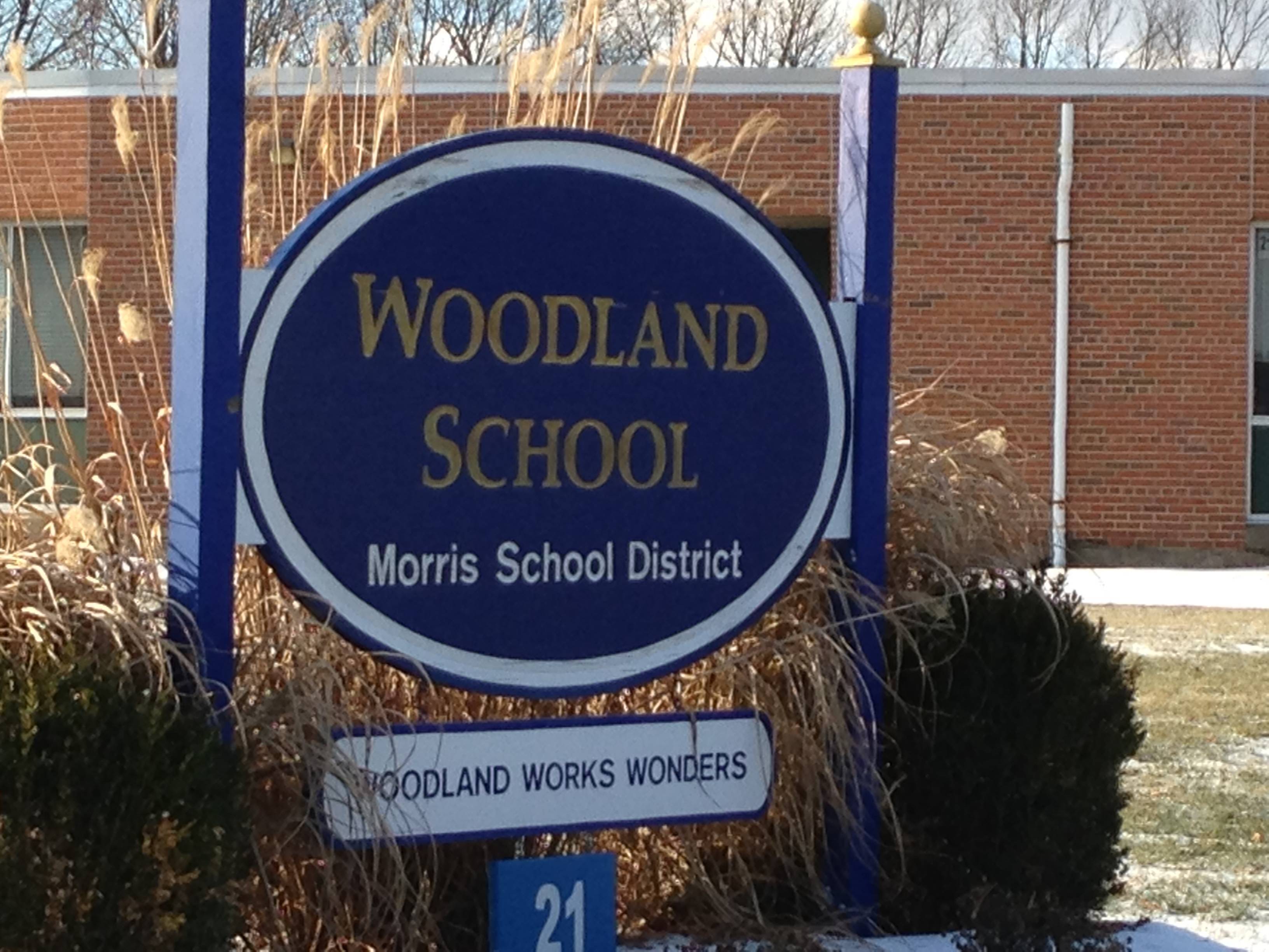 dee9bb6256e1e1ff03b4_woodlandschool.jpg