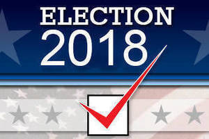 df470d5f84d1a2ed5350_2018electoin.jpg
