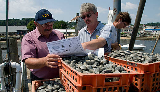 e355184cf9980f0f9d45_aquaculture-520.jpg