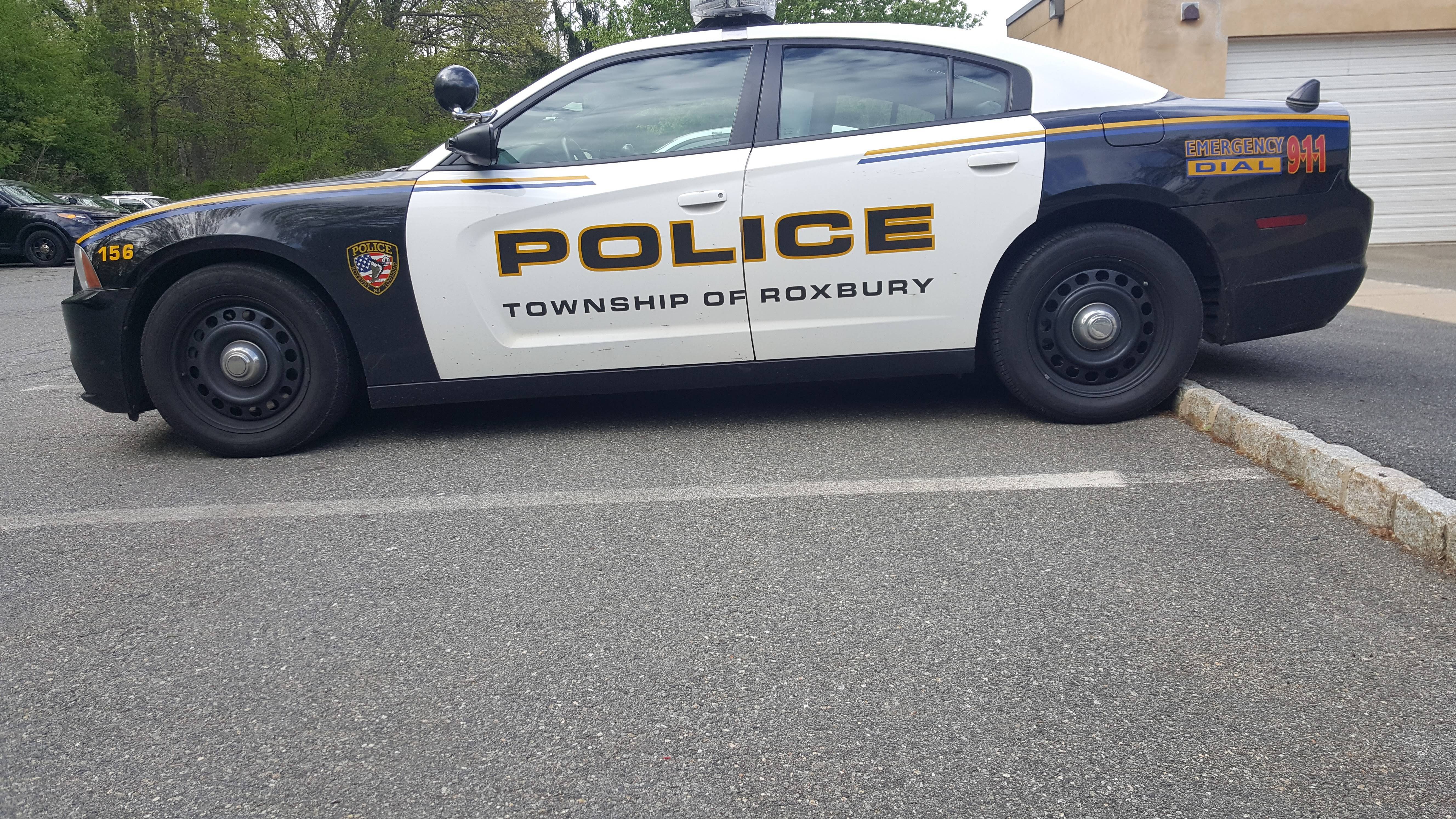 e39c3f731afd76fee2cd_roxbury_cop_car.jpg