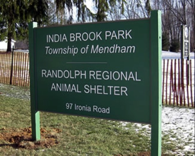 e7ada13f8f1c30fdb757_randolphanimalshelter.jpg
