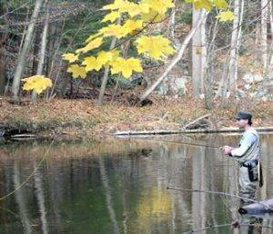 ea62220f01320fe01d20_98973a6d26668c9562a8_trout_angler_fall1sm-300x258.jpg