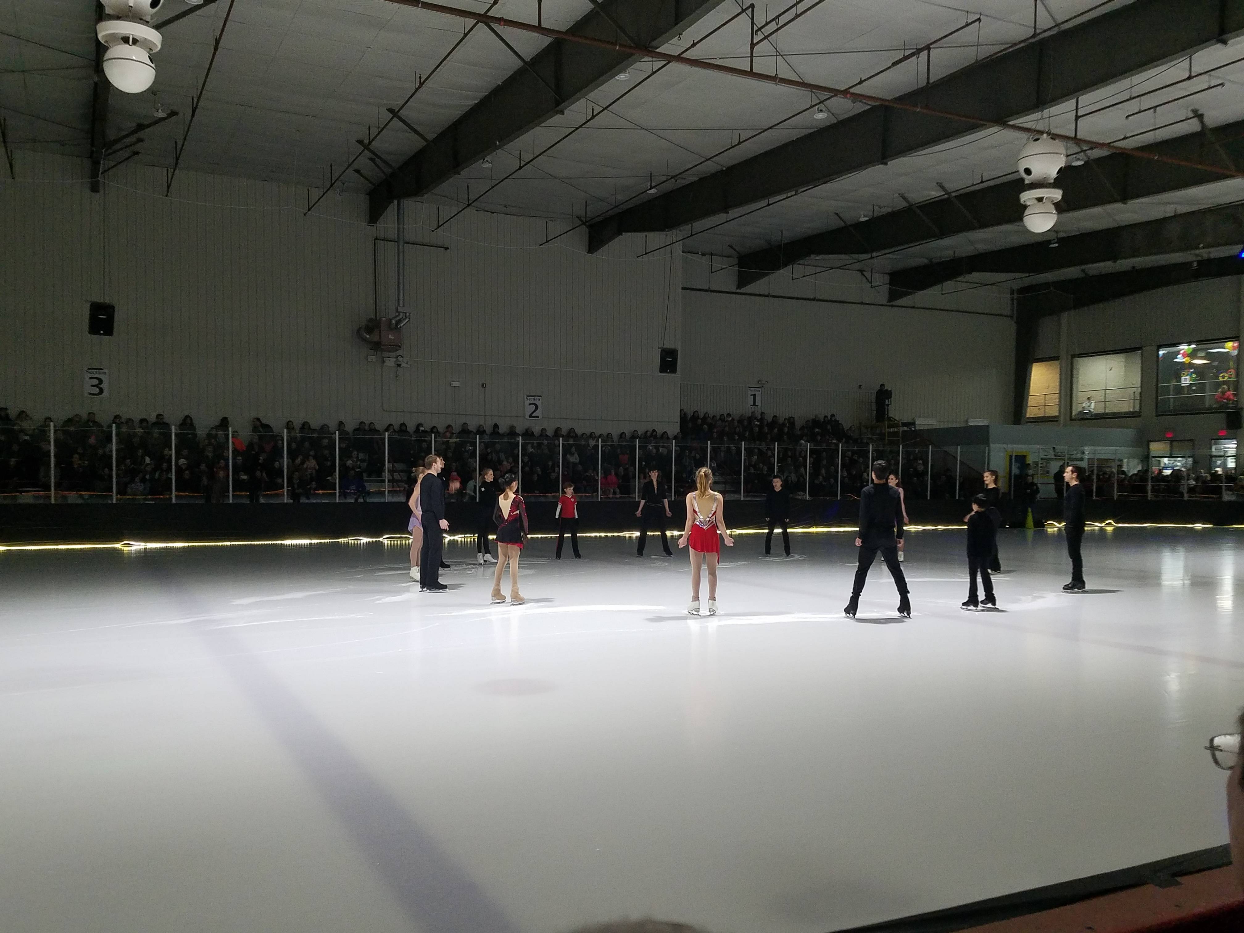 eae7eb1fd66aa8367a99_Ice_Dreams_Performers.jpg