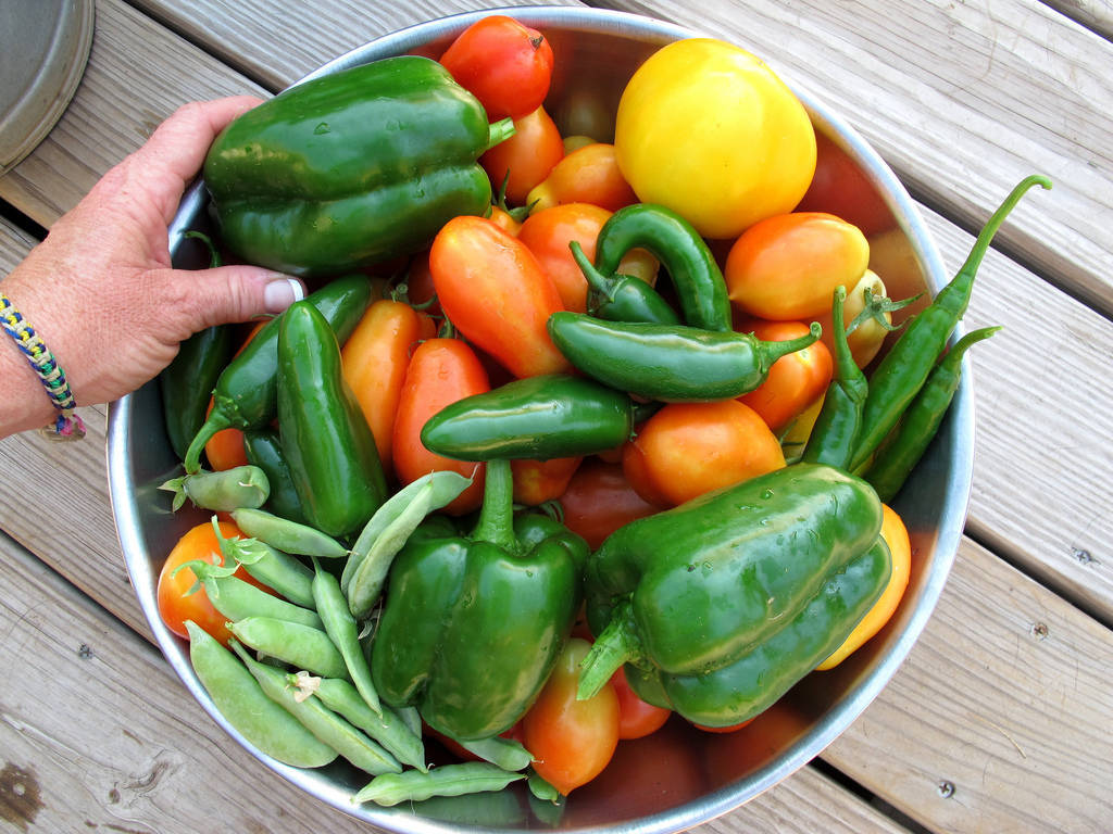 eb34e8b47a6b32db35b2_produce.jpg