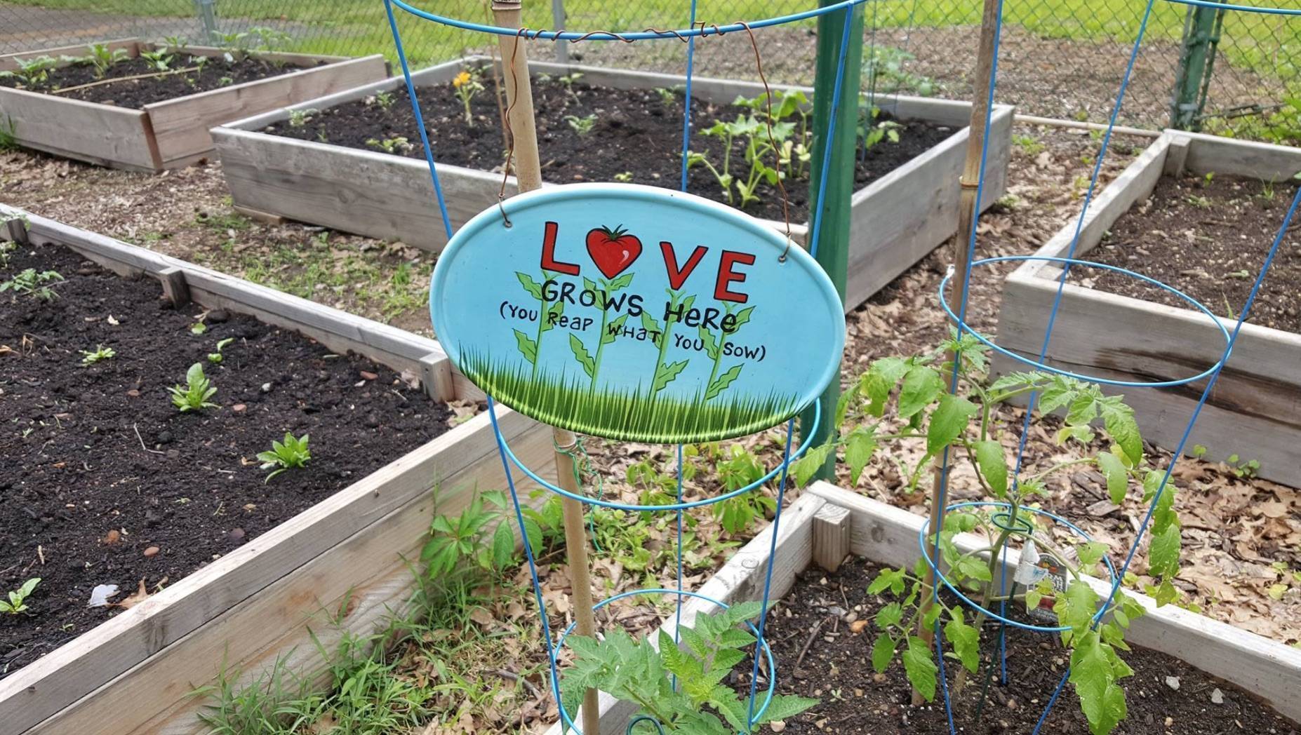 ecc74fec6857702815ba_894764c709d45e130fcf_community_garden_.jpg