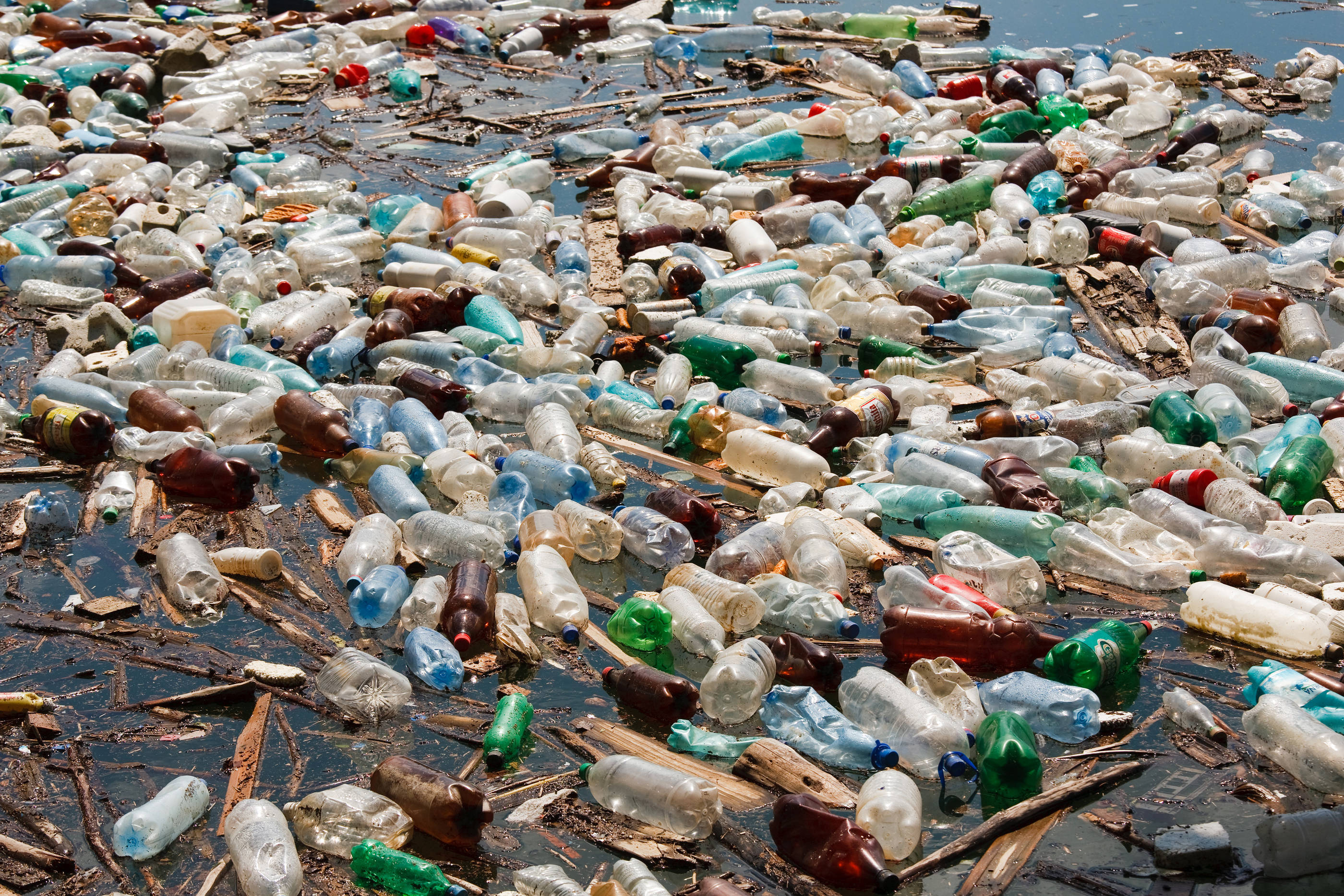 ed93f028494f6b430497_bigstock-Plastic-Bottle-Pollution-3612321.jpg