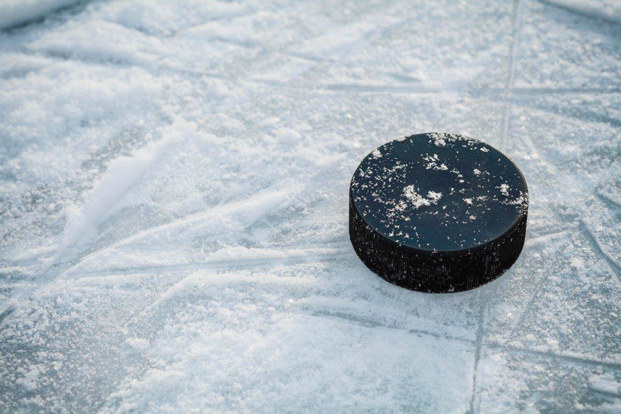 ee0a794177a3ed6f6ed7_hockey.jpg