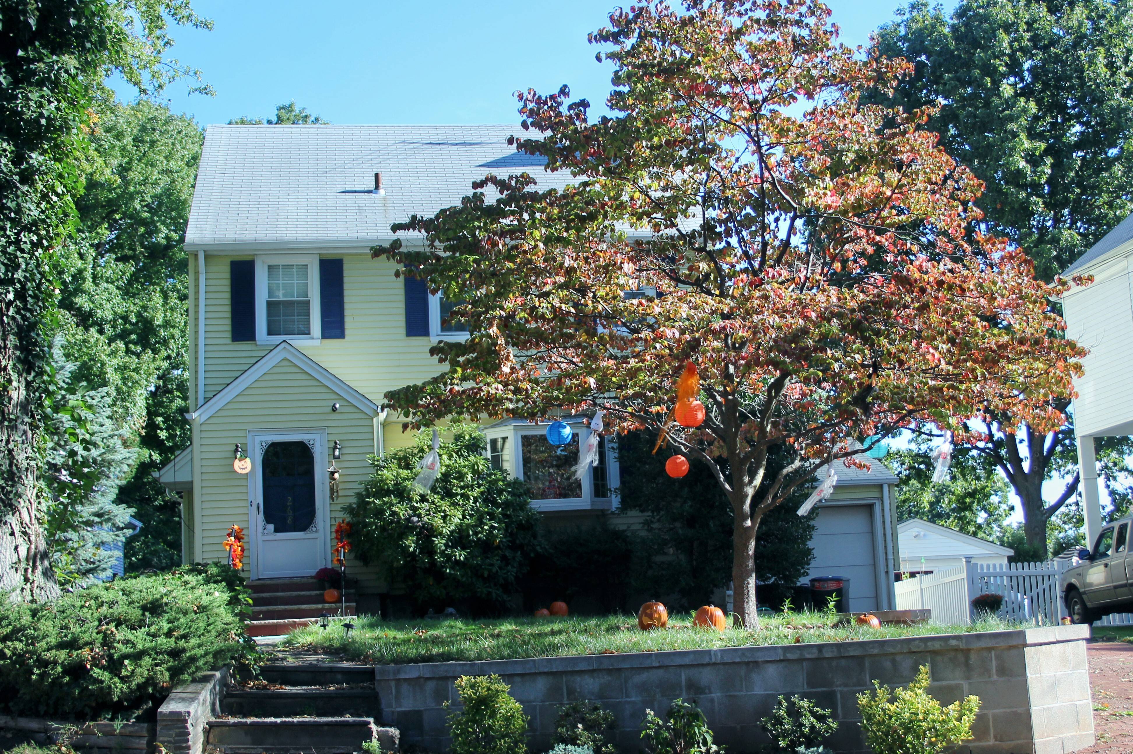 ee797a4cad7e836f54f0_Halloween_High_Street_Nutley.jpg