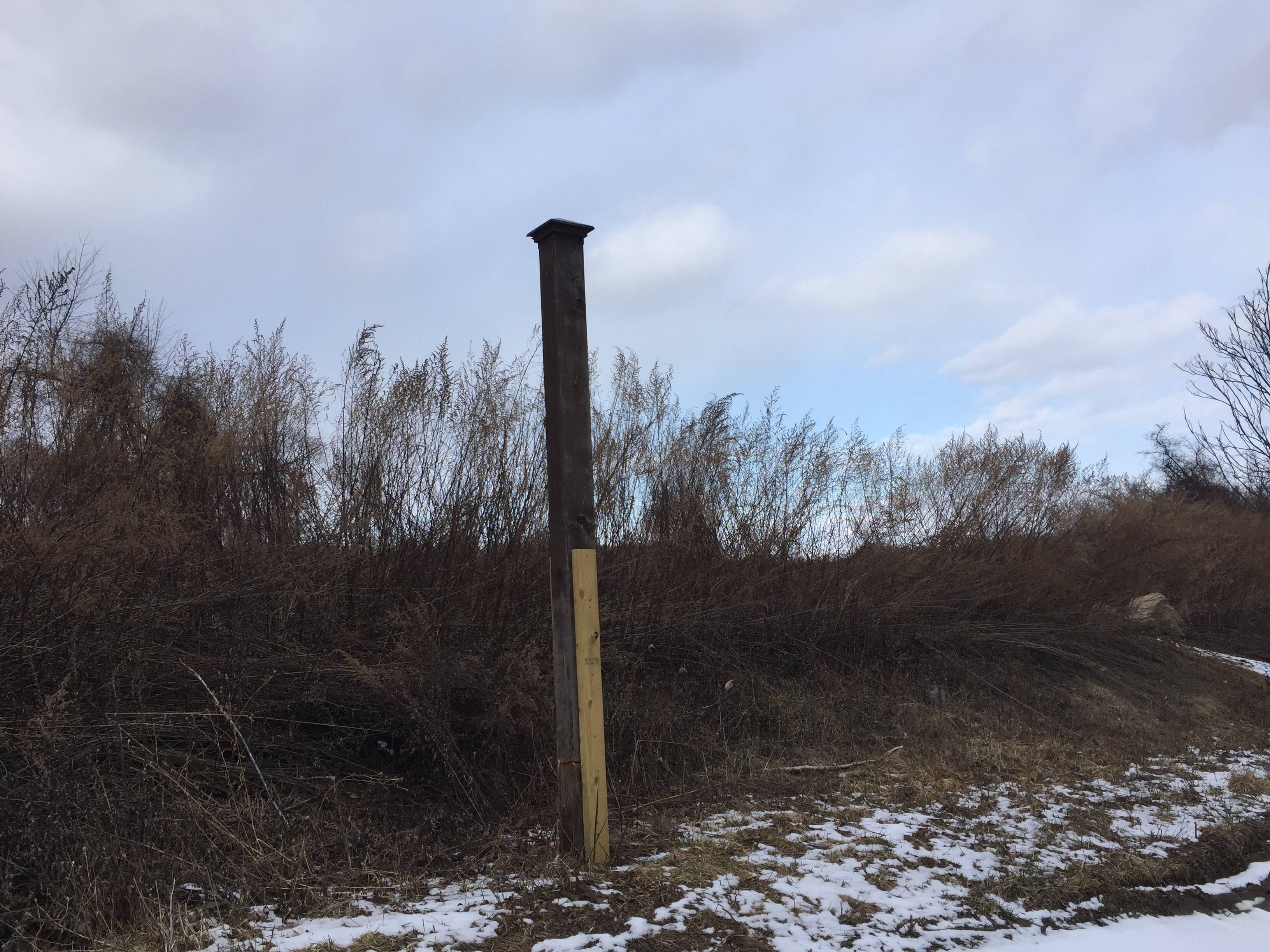 f0703c90db5f08dac31d_c6a745172e9965b1b744_Feb_1_Empty_Pole_No_Sign.jpg