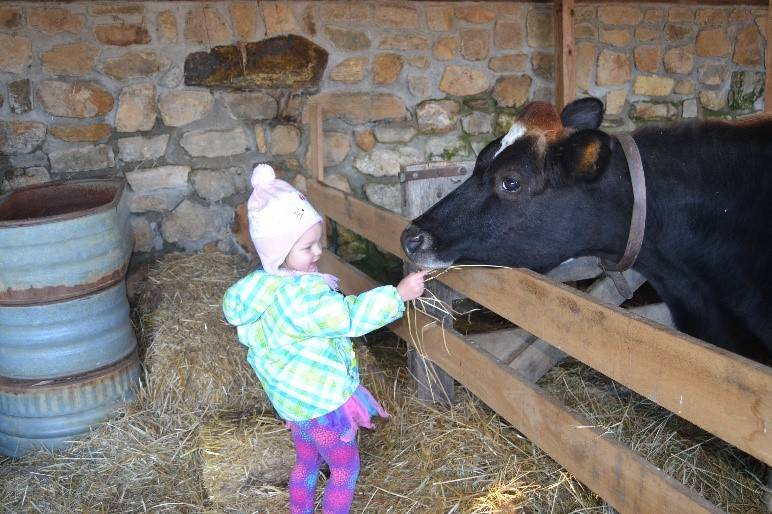 f14beb8074d29ac57347_Farm_1.jpg