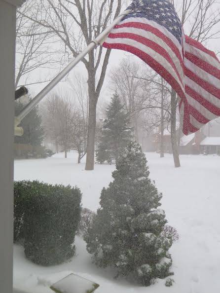 f1cb113d6a5a9c27d087_SnowWavingFlagBBA.jpg