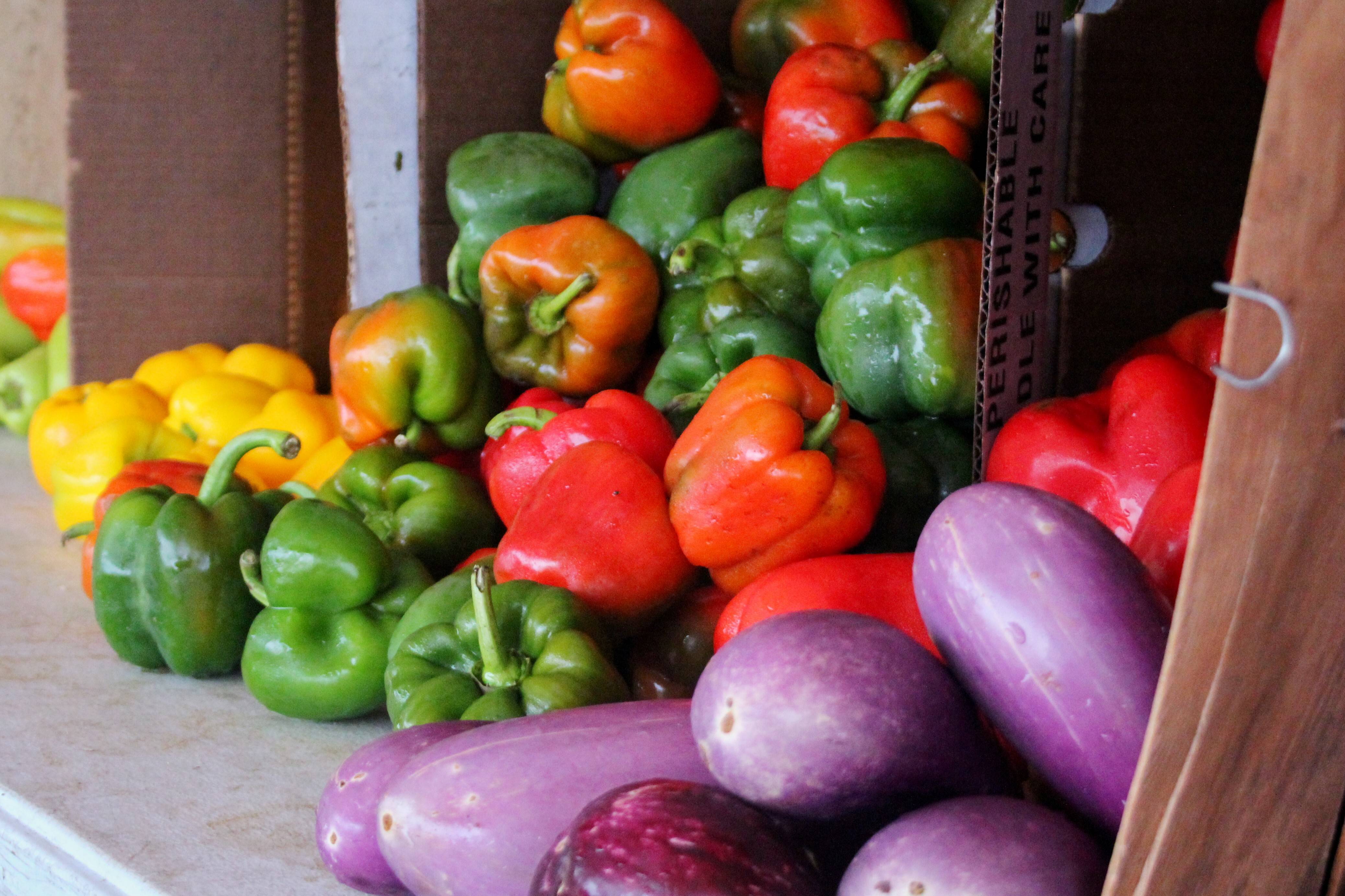 f27af57080b90416e103_Nutley_Farmers_Market_91016_017.jpg
