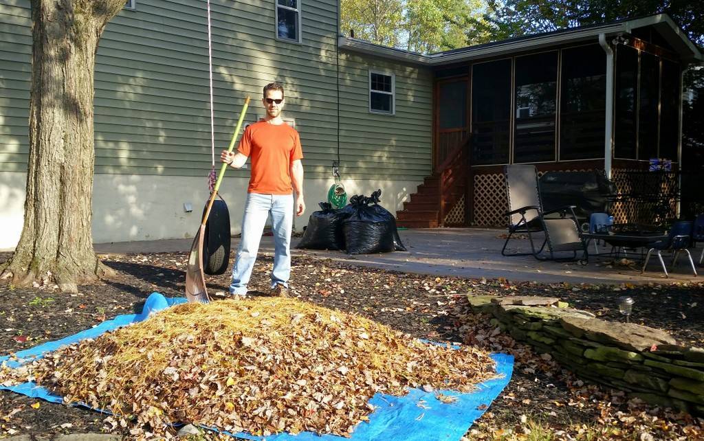 f338b2ee37fc43cadc10_Raking_Leaves.jpg
