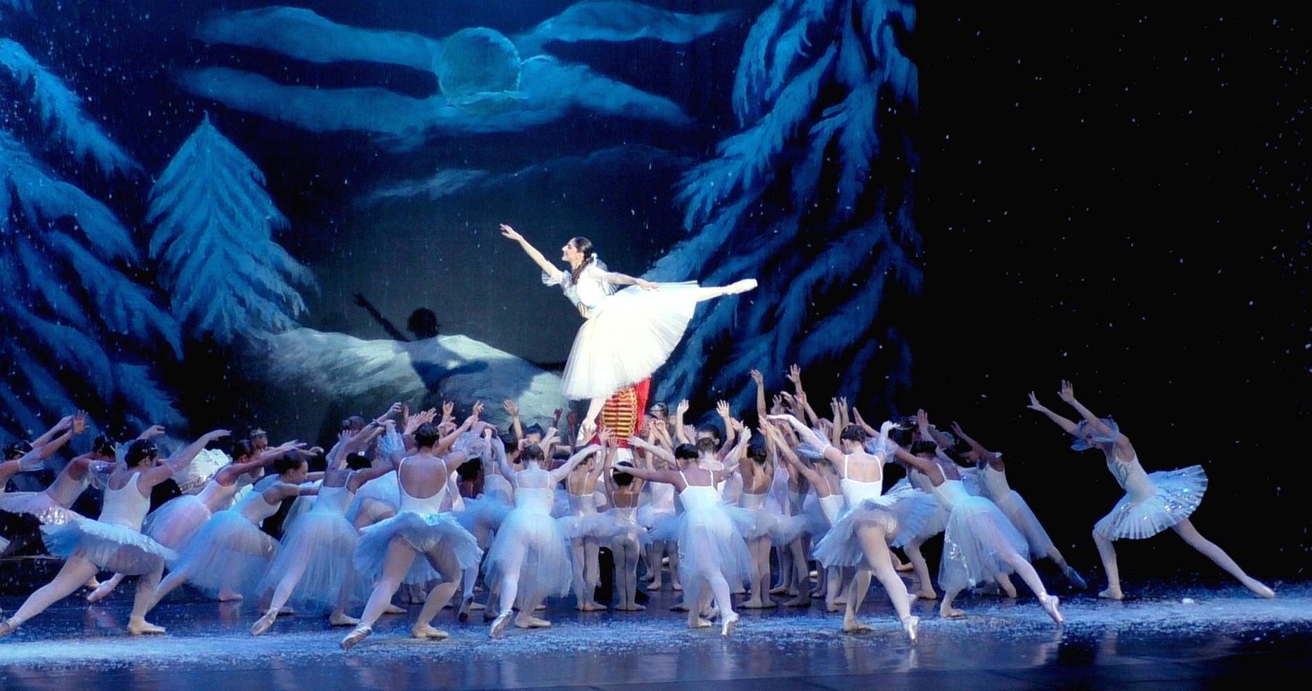 f3762cec82846029f25f_Nutcracker_1.jpg
