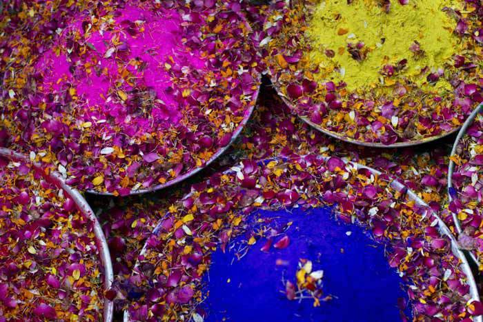 f39868a73457acd7c140_holi-flowers.jpg
