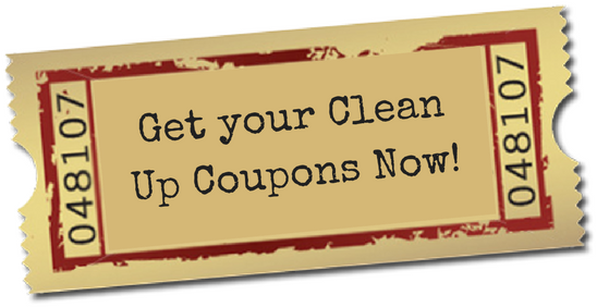 f3d1e44eb43c4717b43f_hillspixcleanupcoupon.jpg