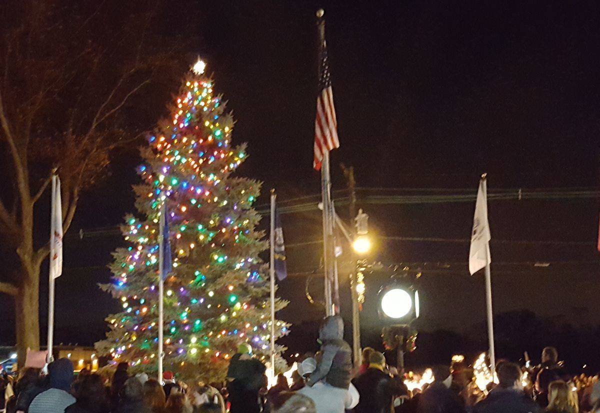 f4177e7edcd82392ab63_cwf_tree.jpg