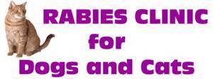 f4ea09d00dc04e8e9288_rabies.jpg