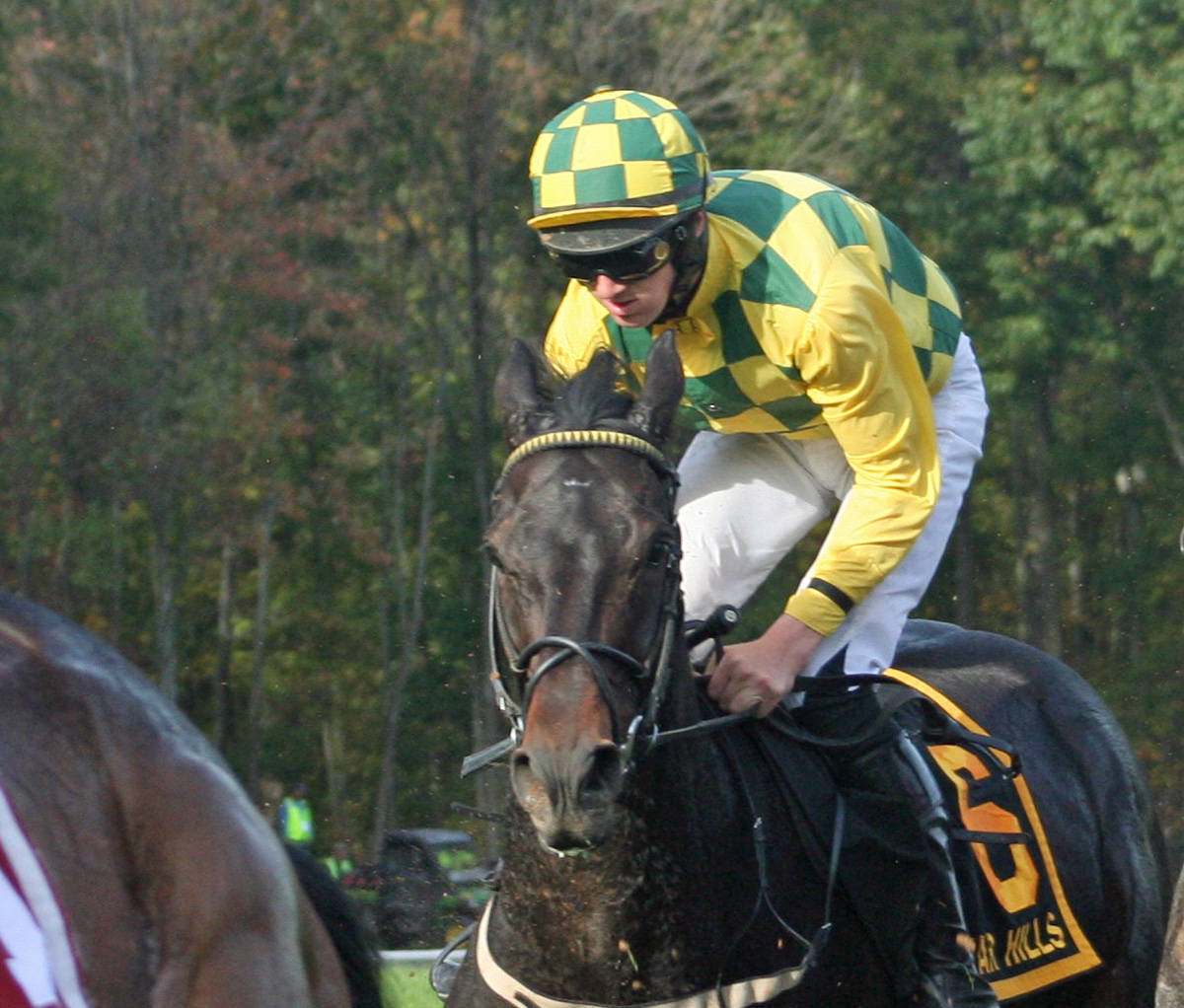 f5ffc77476e9e2b0e82a_lyonell_far_hills_races.jpg