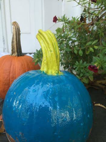 f74bb582049fe5542a60_7e68b9e22c47ae18e08d_teal_pumpkin_2.jpg