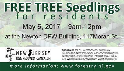 f763fc4fc5f786808833_Tree_Sampling_2017_ad_thumb.jpg