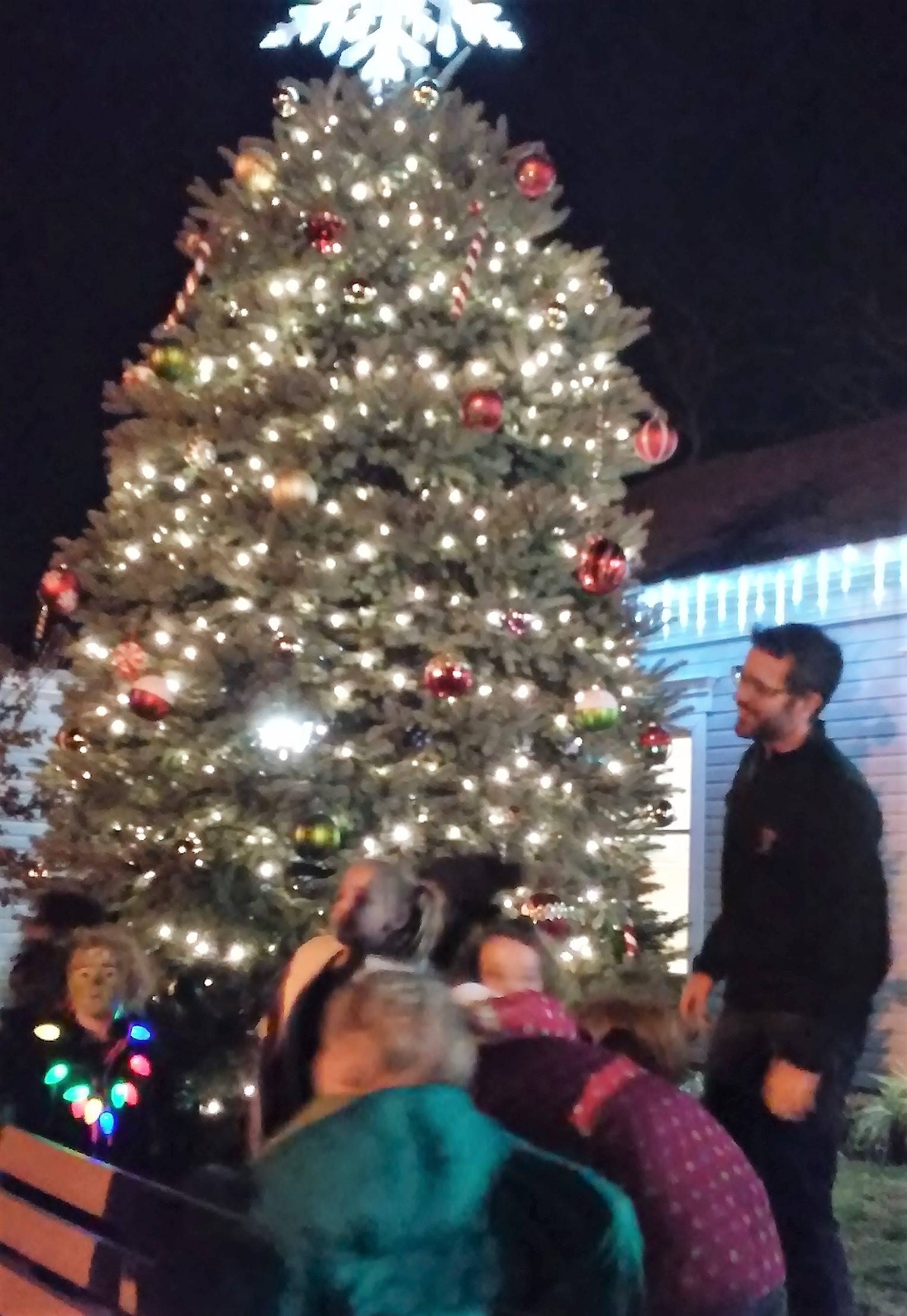 fa563fcebd132ef44bd3_lakecomotreelighting.jpg