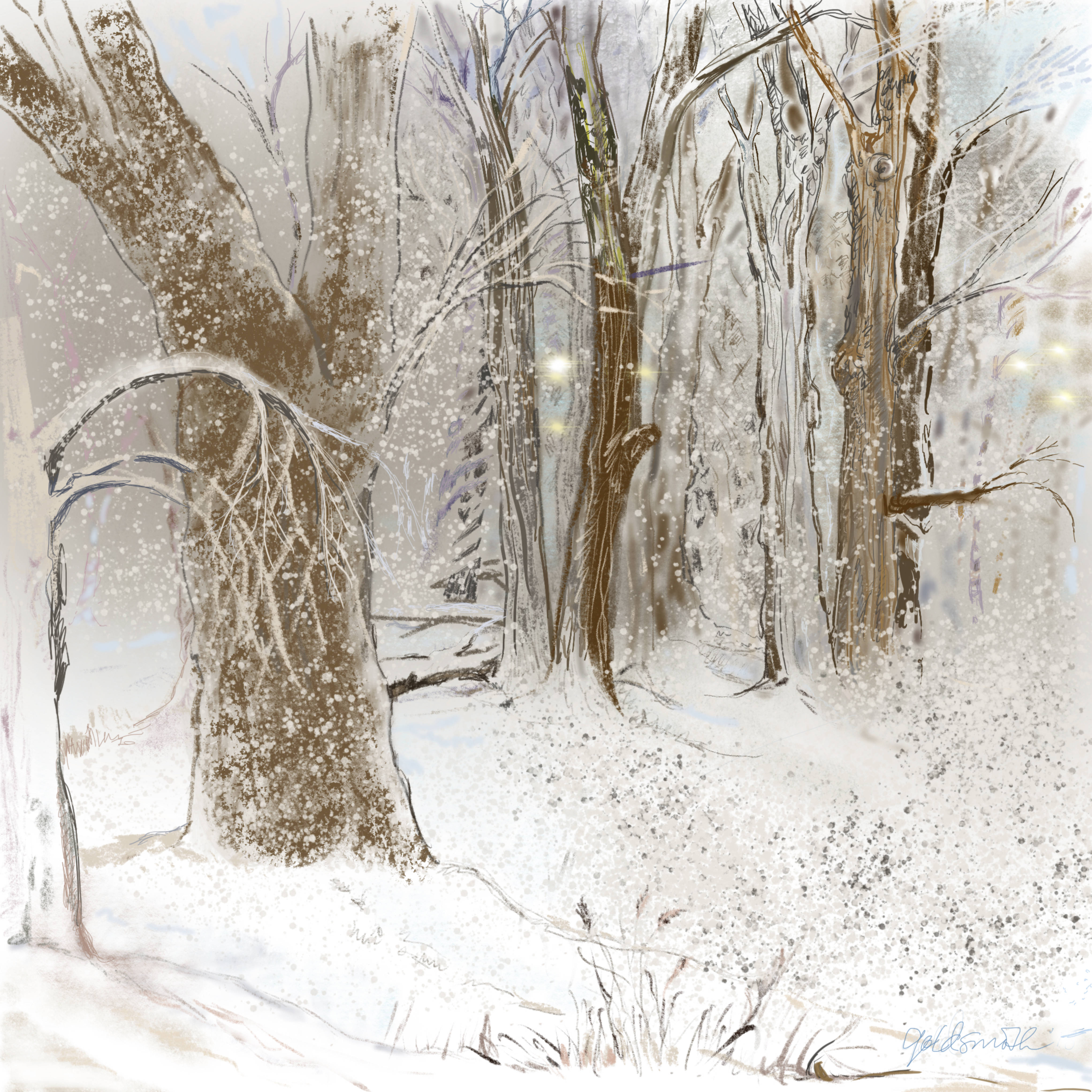 fb3d000c65e80a43c493_58362.jpg